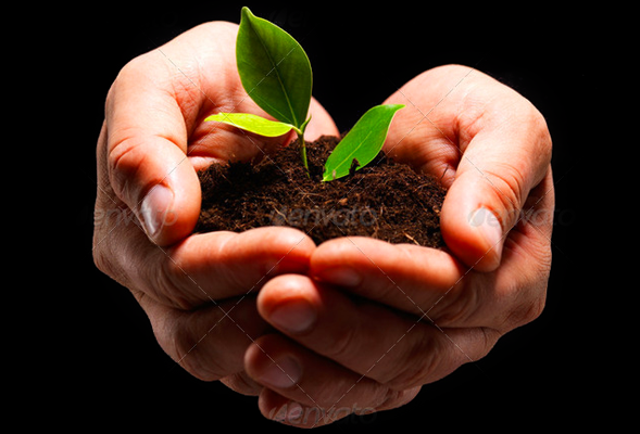 获取短信验证码平台